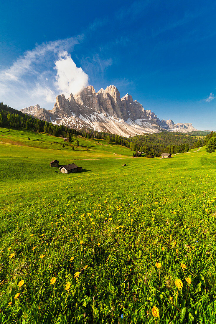 Malga Caseril (Kaserillalm) during spring, Puez Odle, Dolomites, Funes, Bolzano province, South Tyrol, Italy