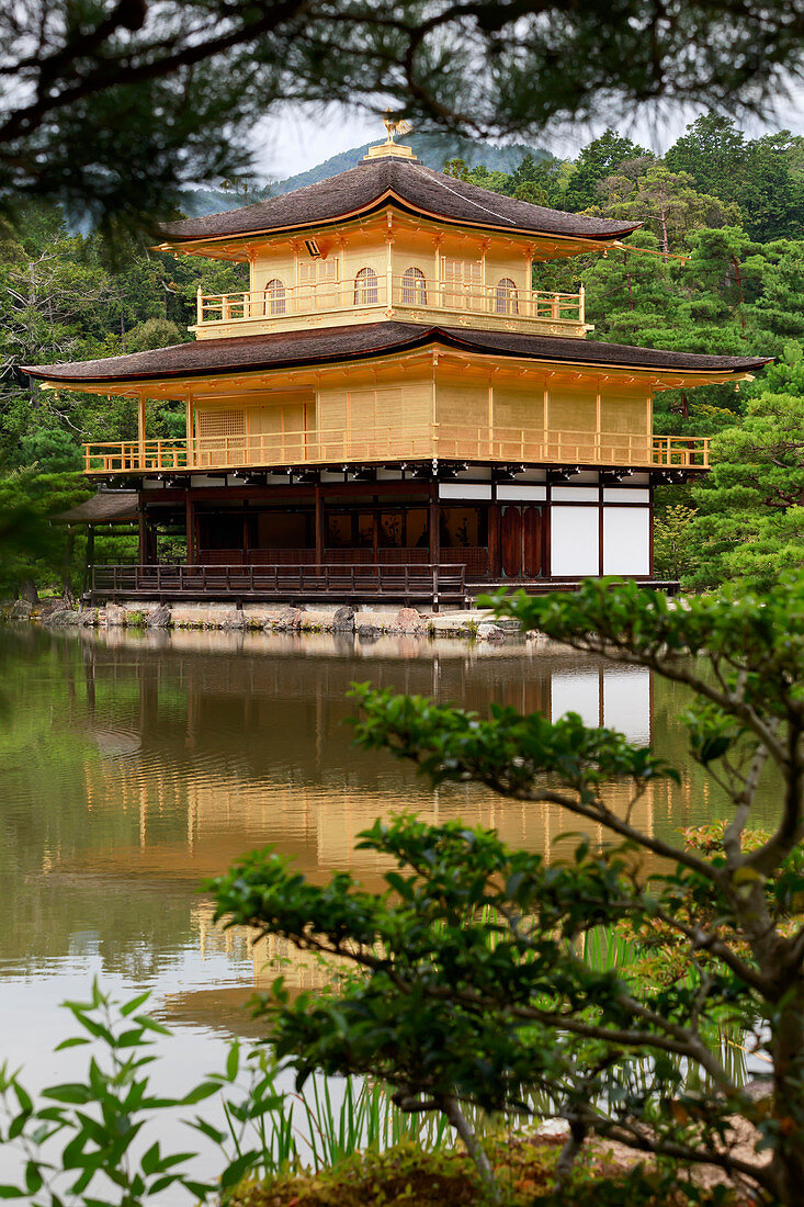 Kinkaku-jischrein, goldener Tempel, Kyoto, Japan, Asien