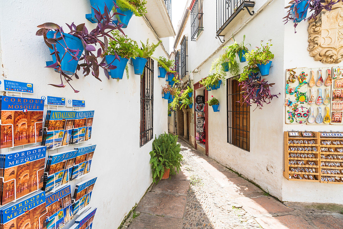 Souvenirladen in Calleja De Las Flores, berühmt für die hängenden Blumentöpfe, Cordoba, Andalusien, Spanien