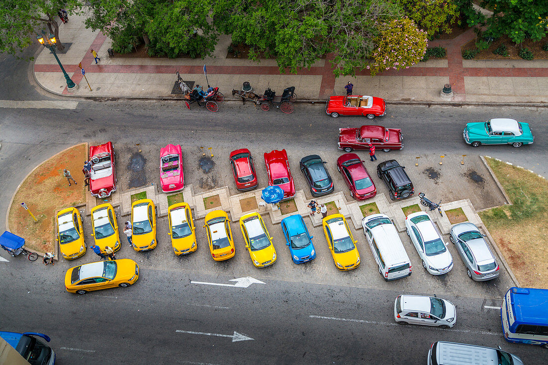 Oldtimer und Taxis in Parque Central, altes Havana, Havana, Havana Province, Kuba