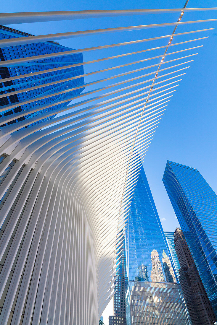 Das Oculus-Gebäude von Santiago Calatrava, One World Trade Center, Lower Manhattan, New York City, USA