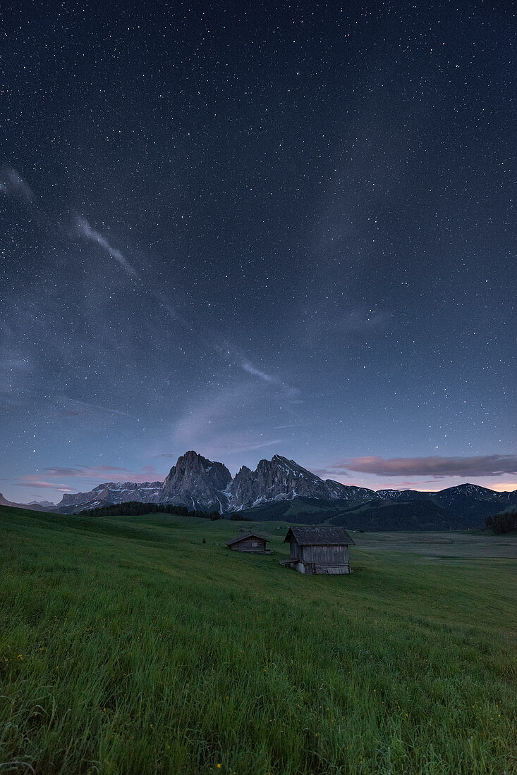 Nacht auf der Seiser Alm mit den Gipfeln Sassolungo und Sassopiatto, Seiser Alm, Dolomiten, Südtirol, Italien