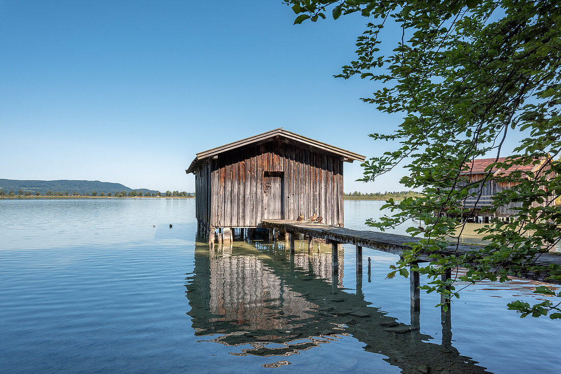 Kochel am See, Landkreis Bad Tölz-Wolfratshausen, Oberbayern, Deutschland, Europa