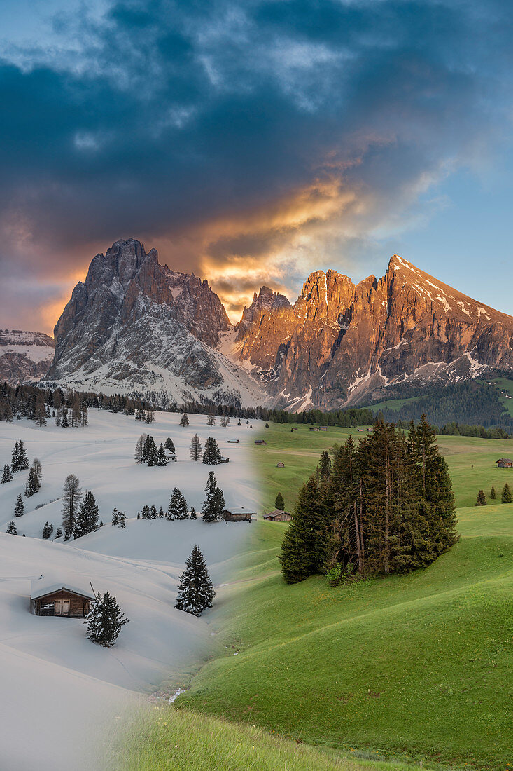 Alpe di Siusi/Seiser Alm, Dolomites, South Tyrol, Italy. A winter-to-summer photomontage of the Alpe di Siusi. In the background the peaks Sassolungo/Langkofel and Sassopiatto/Plattkofel