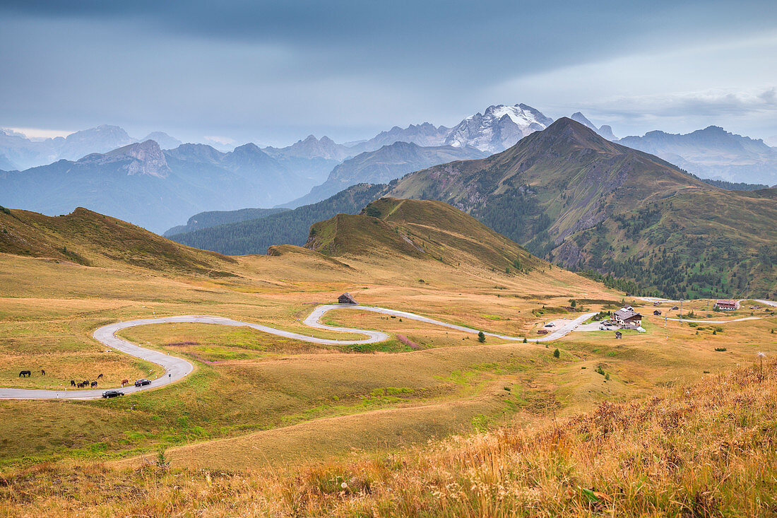 The road to Passo Giau, Cortina d?Ampezzo, Belluno province, Veneto region, Italy