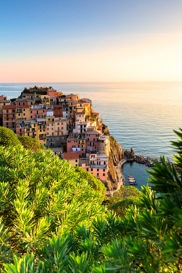 Manarola bei Sonnenuntergang, Cinque Terre, Ligurien, Italien, Europa