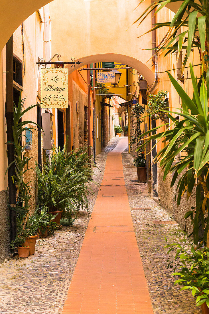 Alley in the historic center of Cervo, Imperia province, Liguria, Italy, Europe.