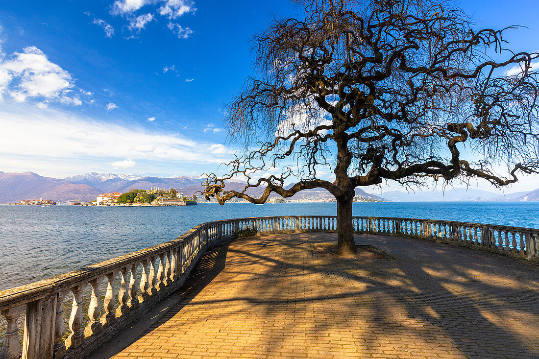 Isola Bella from the lakefront of Stresa, Lake Maggiore, Piedmont, Italy. Europe.