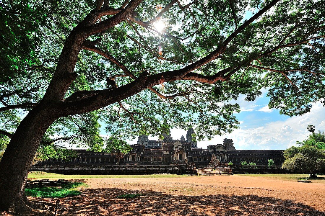 Cambodia, Siem Reap, Angkor Wat temple