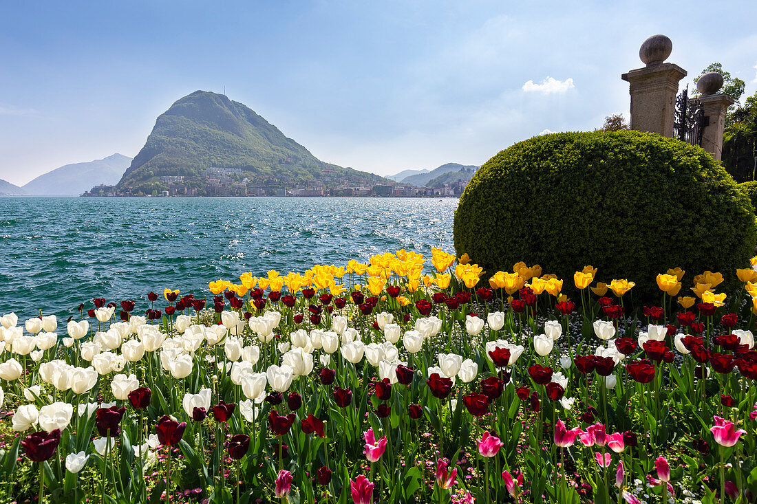 View of blooming flowerbed at Parco Ciani lakefront in Lugano city on a spring day, Canton Ticino, Switzerland.