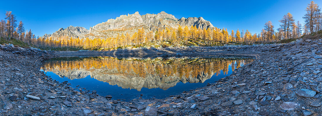 A panoramic view of the Nero Lake in autumn immediately after the sunrise (Buscagna Valley, Alpe Devero, Alpe Veglia and Alpe Devero Natural Park, Baceno, Verbano Cusio Ossola province, Piedmont, Italy, Europe)