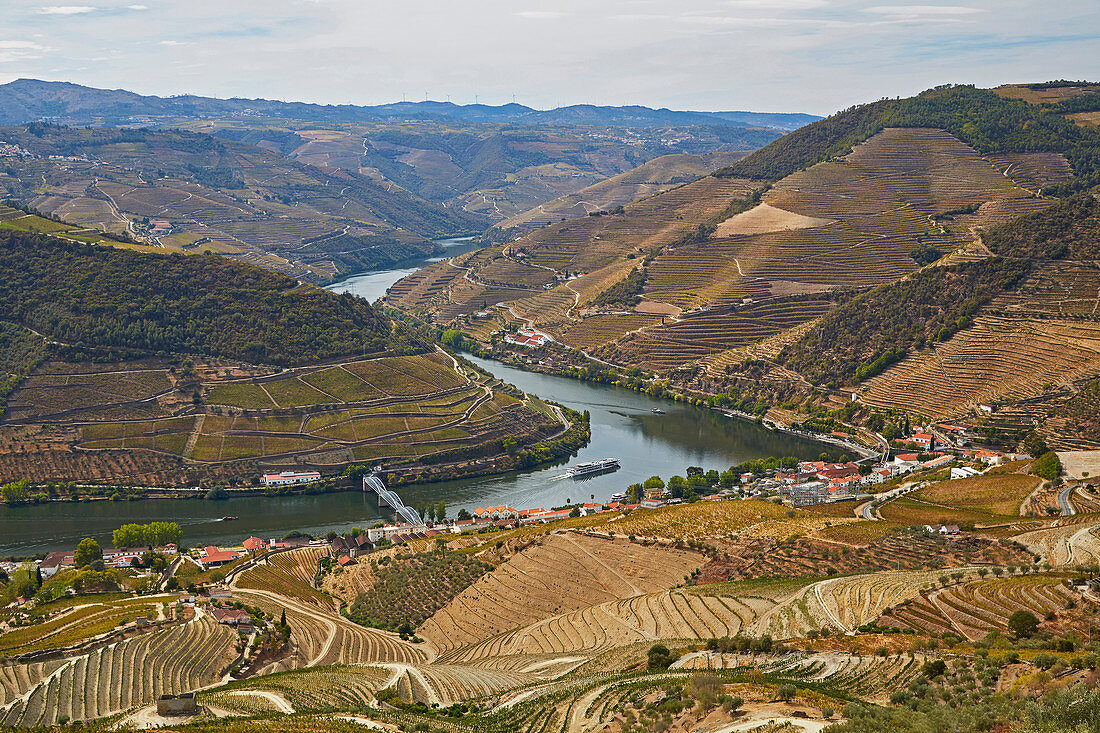 Reblandschaft am Fluß Douro bei Pinhao, Distrikt Vila Real, Douro, Portugal, Europa