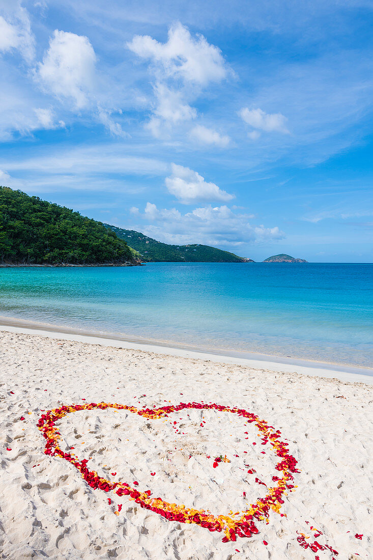 Heart of rose petals on the beach of Magens Bay, Charlotte Amalie, Saint Thomas, Caribbean, USA
