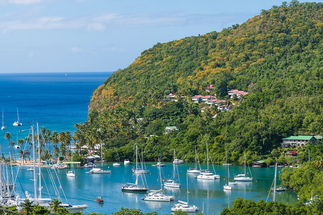 Marigot Bay with sailing yachts, Castries, St. Lucia, Caribbean, West Indies