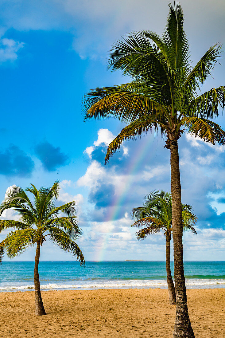 Traumstrand am Atlantik mit Palmen und Regenbogen, San Juan, Puerto Rico, Karibik, USA