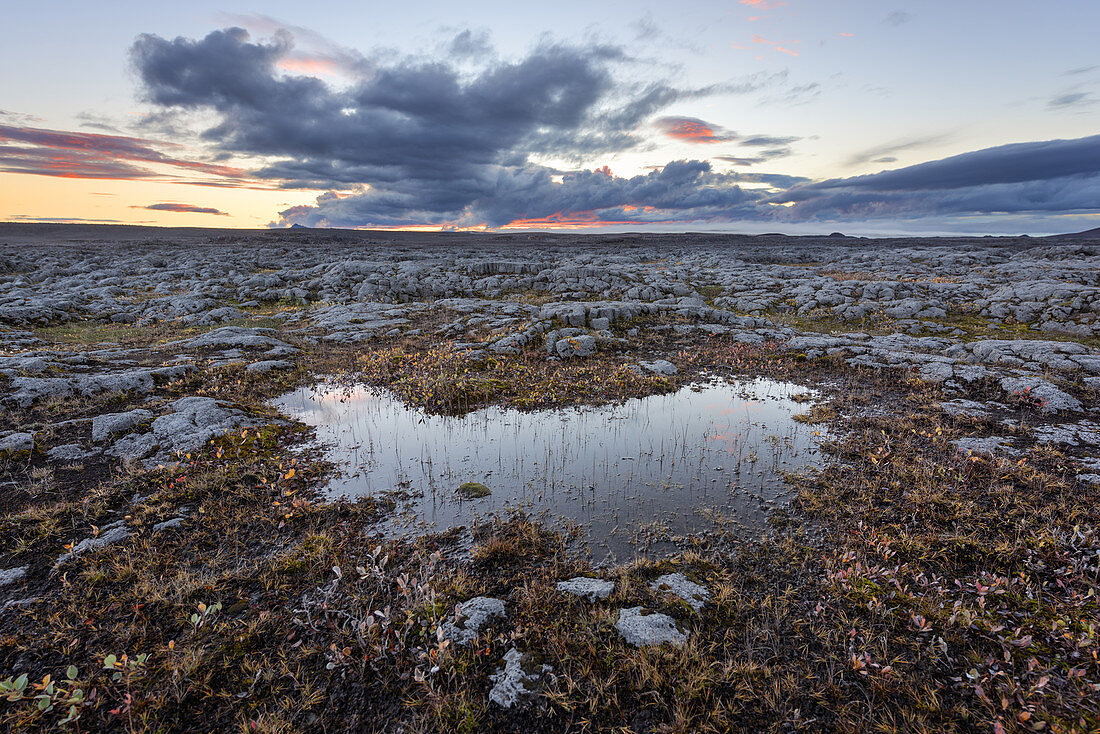 Typische steinige Landschaft im Norden von Island bei Sonnenuntergang, Europa