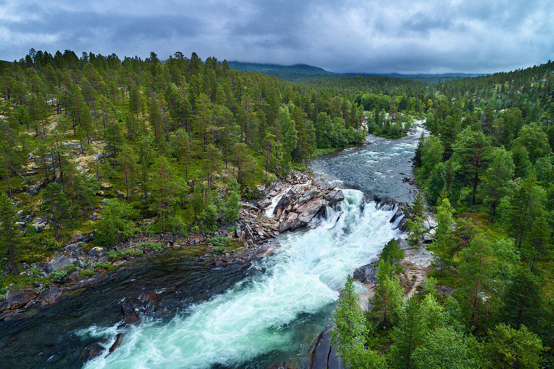 Landschschaft mit Wald und Fluss in der Nähe des Polarkreises, Nordland, Norwegen, Europa