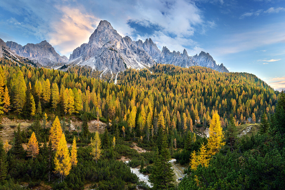 Herbstlicher Wald bei Cadini di Misurina, Auronzo di Cadore, Dolomiten, Belluno, Italien, Europa