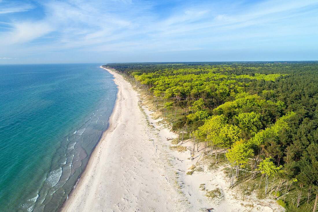 Der Strand der Halbinsel Darss im Sommer, Ostsee, Mecklenburg-Vorpommern, Deutschland, Europa