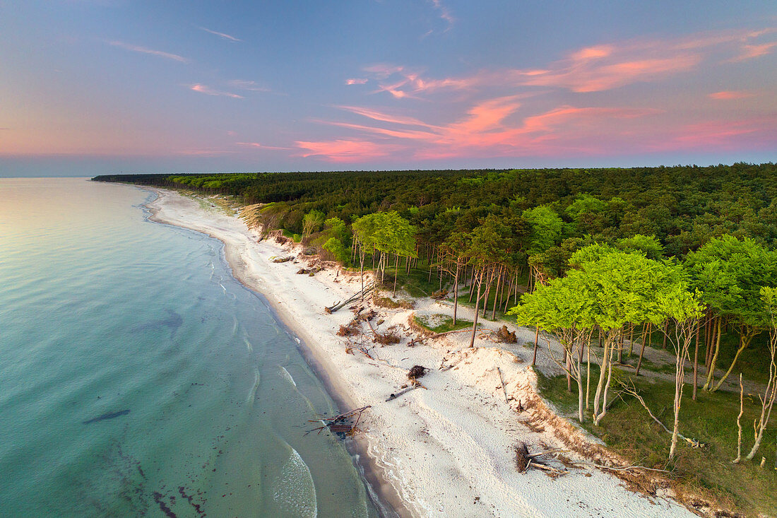 Sunset on Darss beach, Baltic Sea, Mecklenburg-Western Pomerania, Germany, Europe
