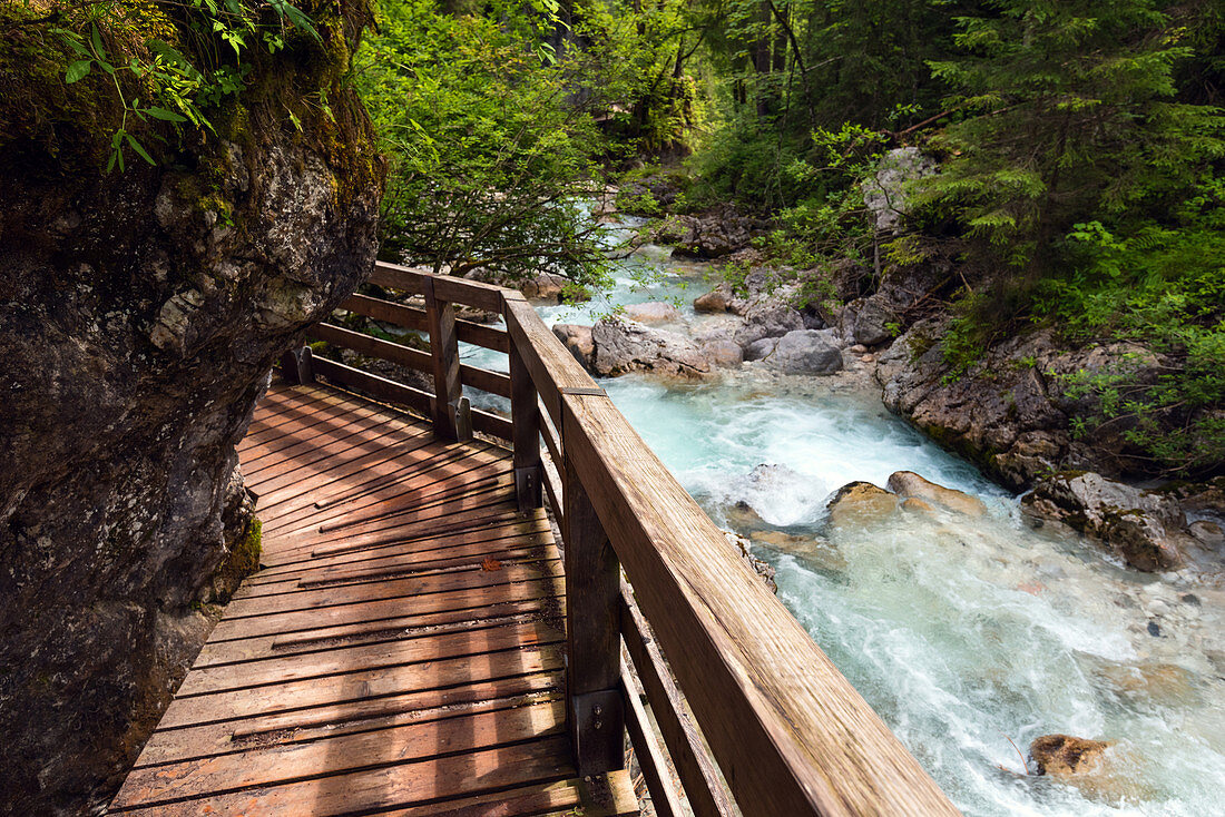 Wooden walkway leading along stream in the 'Enchanted forest', Berchtesgadener Land, Bavaria, Germany, Europe