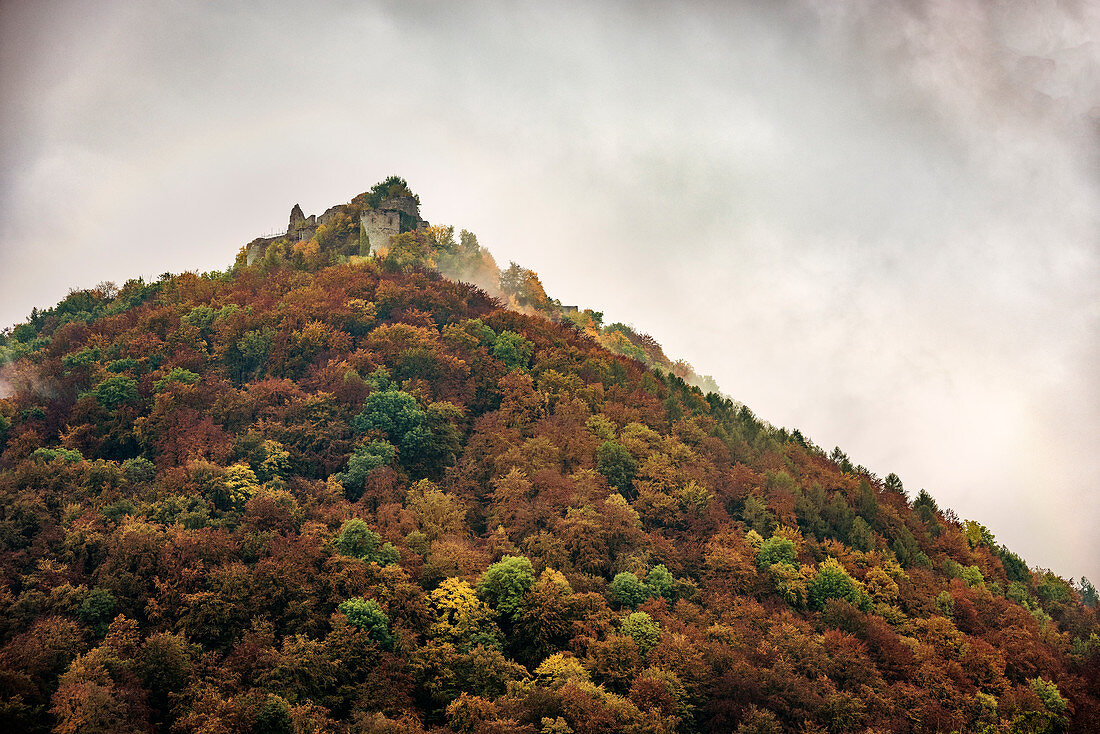 Castle ruin Hohenurach, Bad Urach, Swabian Alb, Baden-Wuerttemberg, Germany
