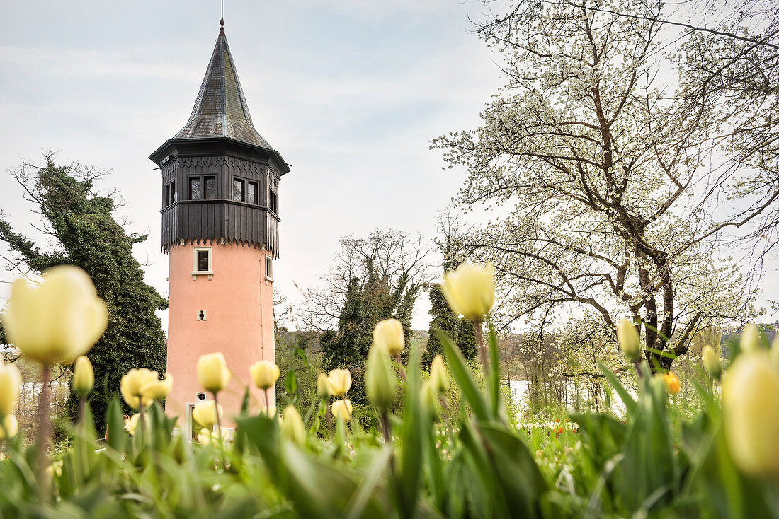 Schwedenturm auf Blumeninsel Mainau, Konstanz, Überlinger See, Bodensee, Baden-Württemberg, Deutschland