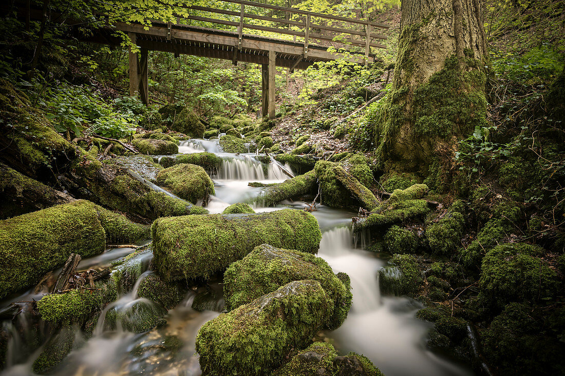 Kocher (Fluss) Ursprung in Unterkochen, Aalen, Ostalbkreis, Schwäbische Alb, Baden-Württemberg, Deutschland