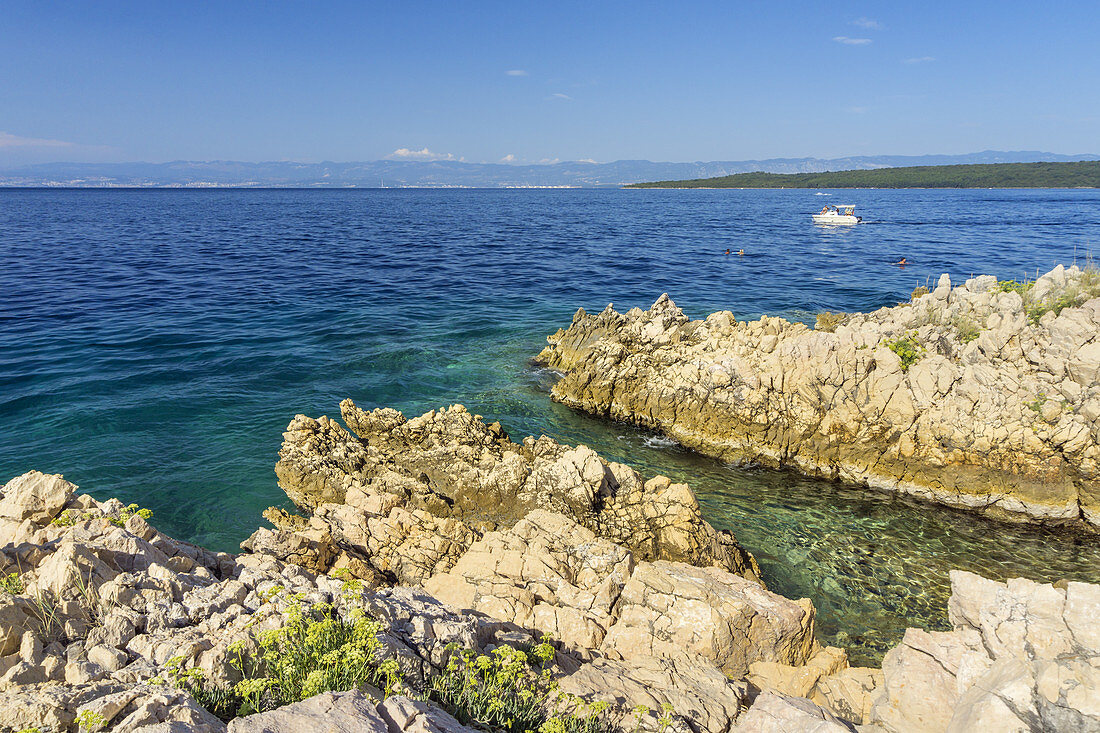 Rocks in the waterin Glavotok, island Krk, kvarner bay, Mediterranean Sea, Primorje-Gorski kotar, North Croatia, Croatia, Southern Europe, Europe