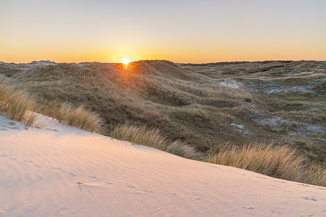 Sonnenuntergang über den Dünen auf der Insel Amrum, Nebel, Nordfriesische Inseln, Schleswig-Holstein, Norddeutschland, Deutschland, Europa
