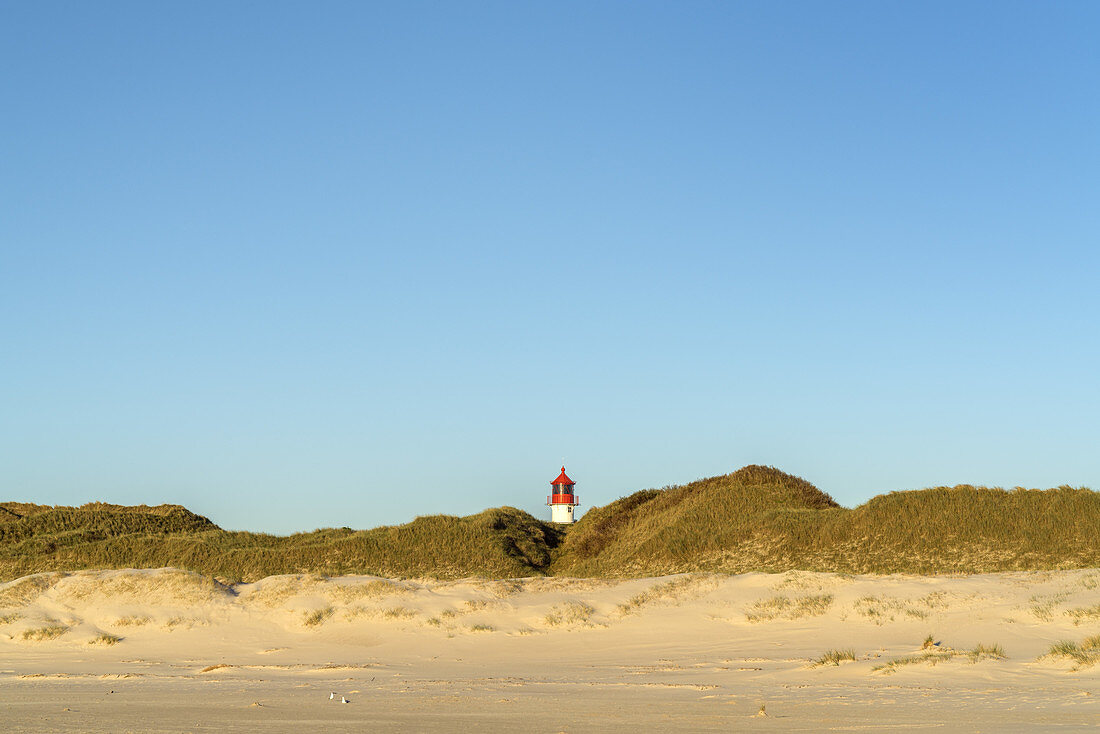 Quermarkenfeuer in den Dünen auf der Insel Amrum, Norddorf, Nordfriesische Inseln, Schleswig-Holstein, Norddeutschland, Deutschland, Europa