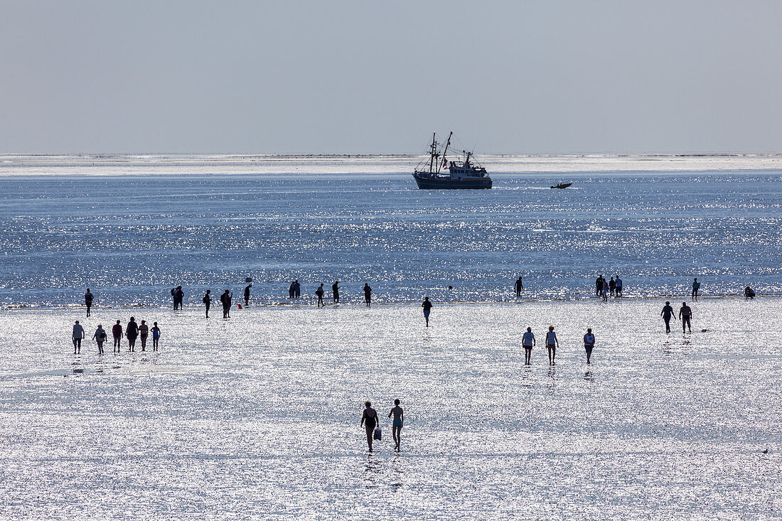 Wattwanderer vor Büsum, Dithmarschen, Schleswig-Holstein, Norddeutschland, Deutschland, Europa