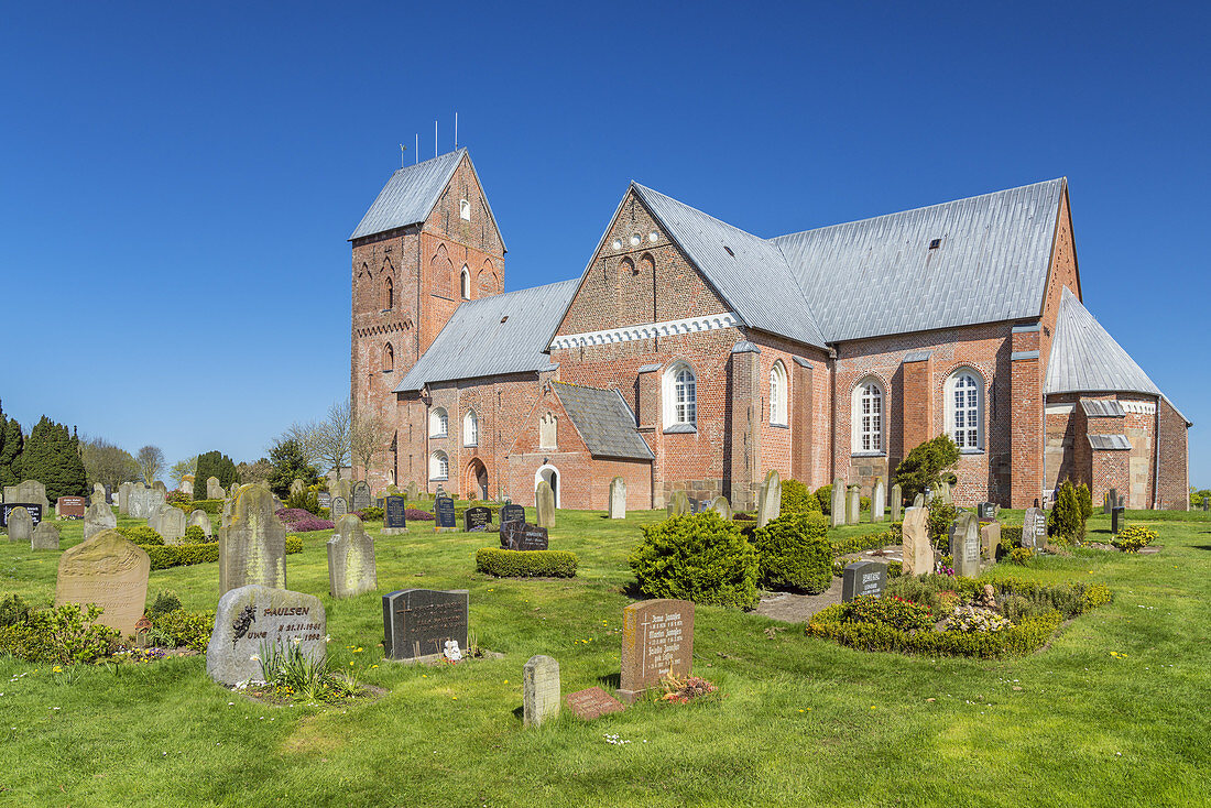 Church St. Johannis in Nieblum, North Frisian Island Föhr, North Sea, Schleswig-Holstein, Northern Germany, Germany, Europe