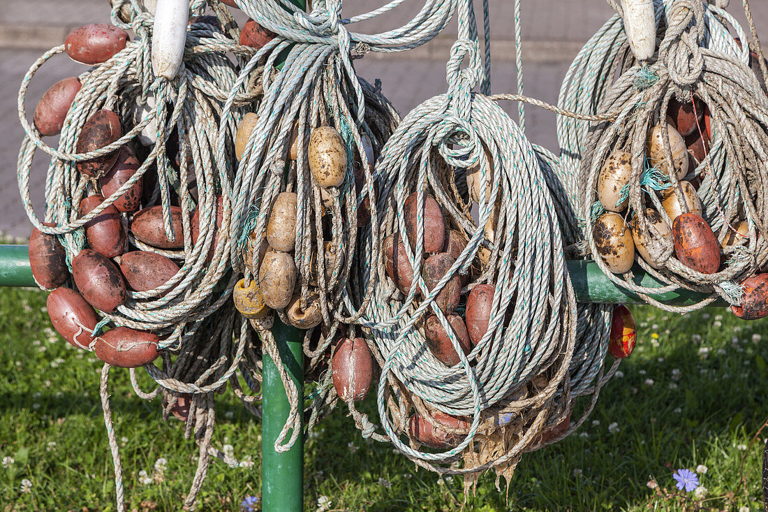 Netze im Hafen, Insel Helgoland, Schleswig-Holstein, Norddeutschland, Deutschland, Europa