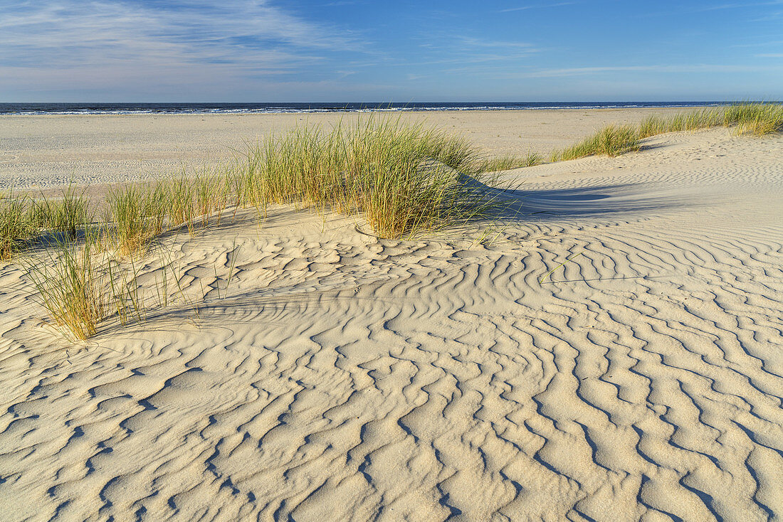 Dünen am Strand auf der Insel Norderney, Ostfriesland, Niedersachsen, Norddeutschland, Deutschland, Europa