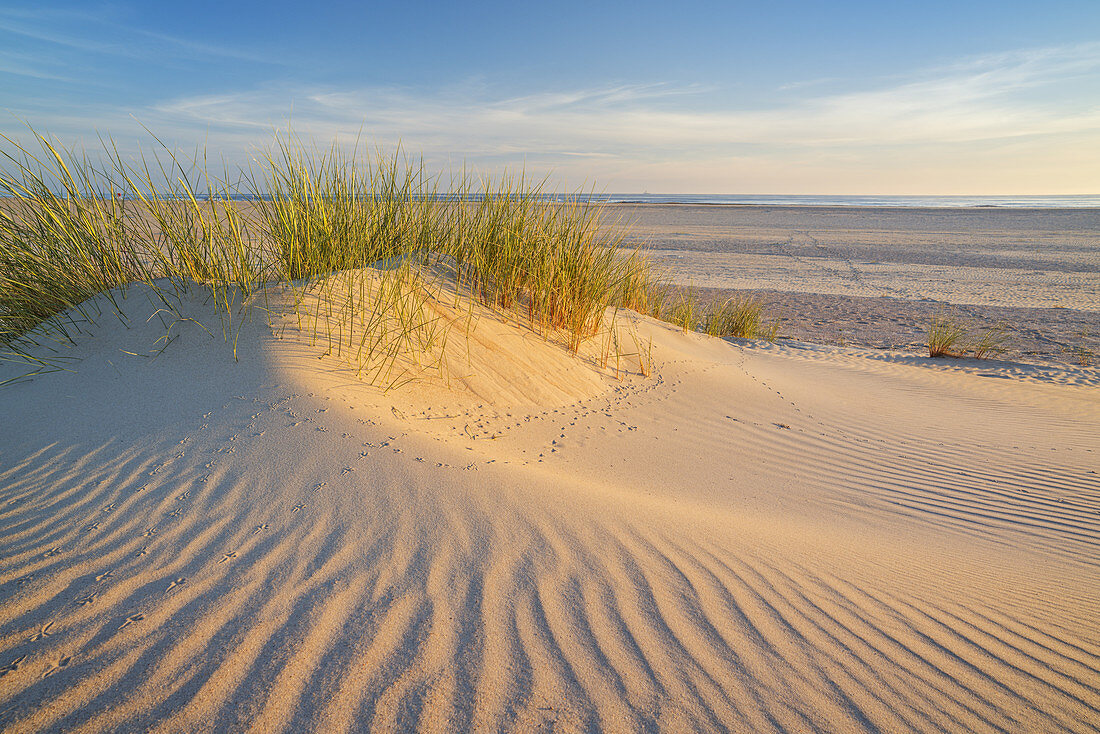 Dünen am Strand auf der Insel Norderney, Ostfriesland, Niedersachsen, Norddeutschland, Deutschland, Europa