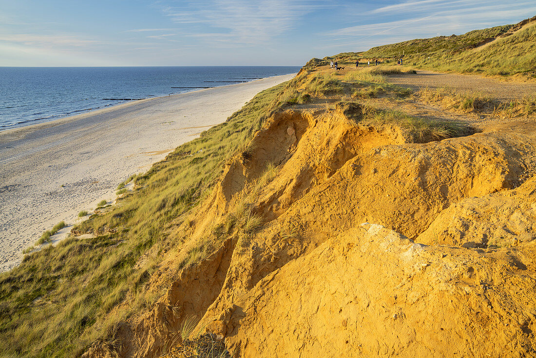 Rotes Kliff in Kampen, Insel Sylt, Nordfriesland, Schleswig-Holstein, Norddeutschland, Deutschland, Europa