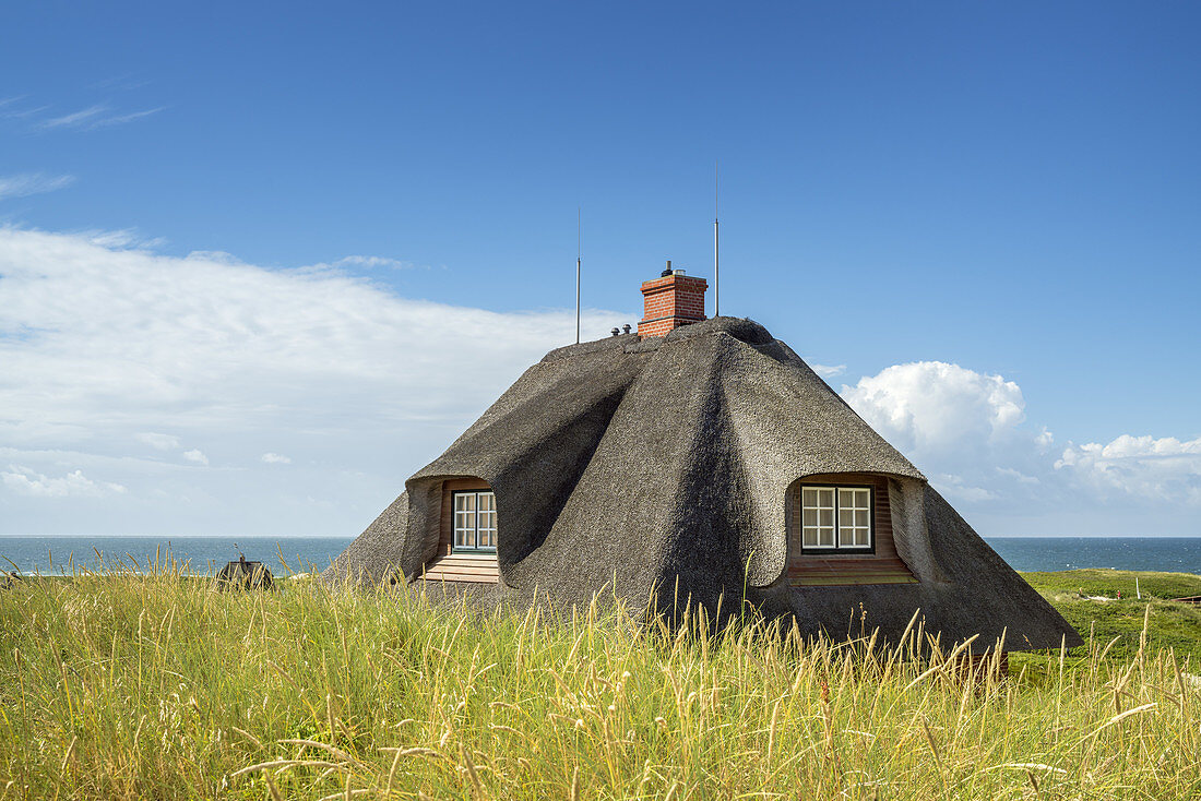 Thatched house in the dunes in Hörnum, North Frisian Island Sylt, North Sea coast, Schleswig-Holstein, Northern Germany, Germany, Europe