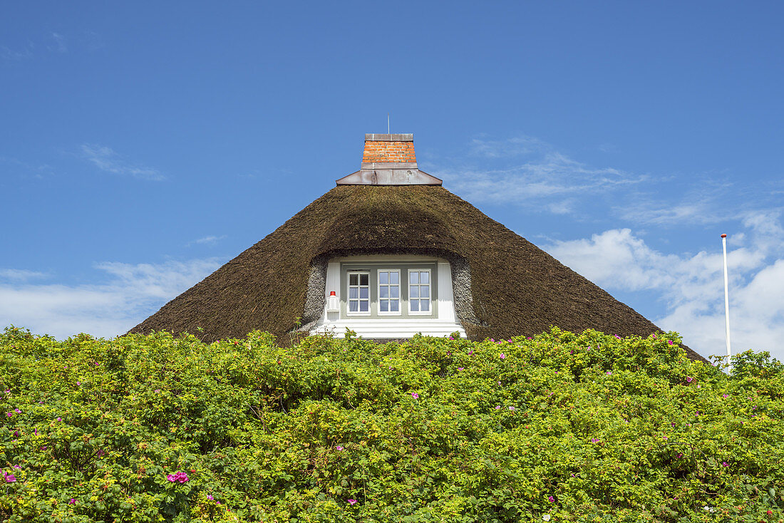 Thatched house in Hörnum, North Frisian Island Sylt, North Sea coast, Schleswig-Holstein, Northern Germany, Germany, Europe