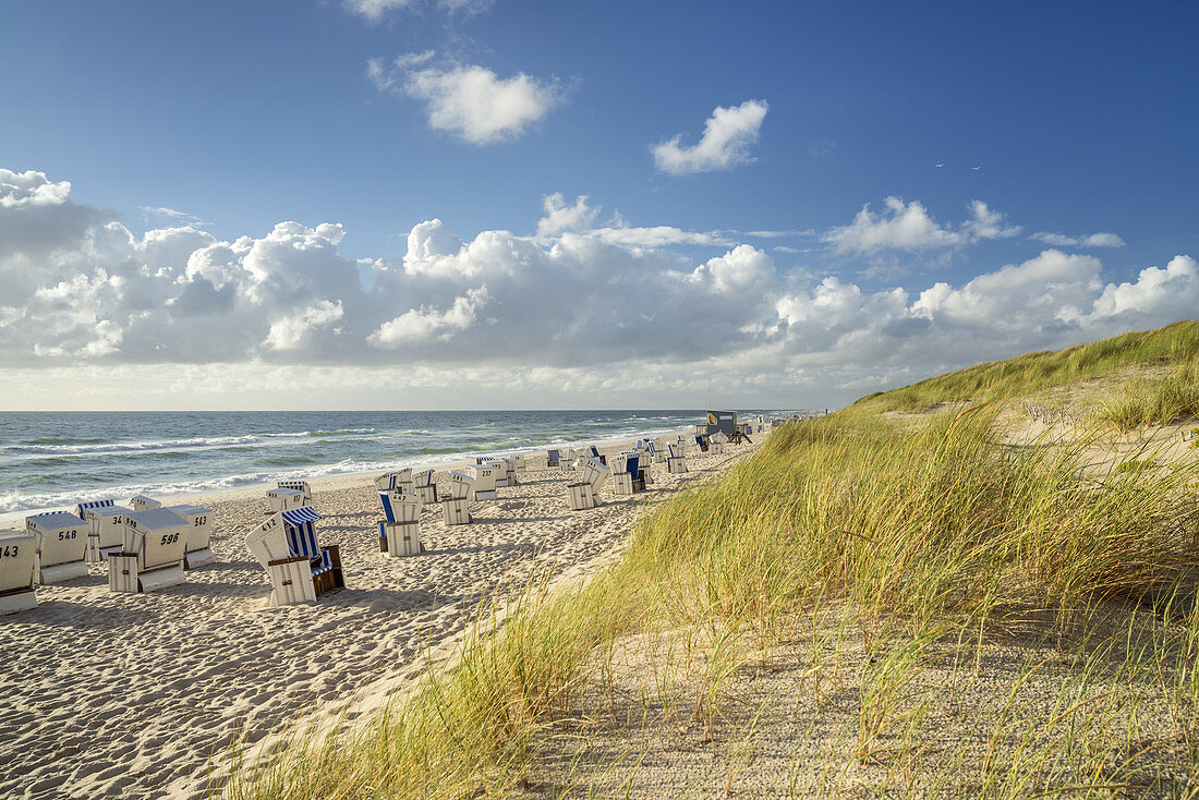 Beach with beach chairs in Hörnum, North Frisian Island Sylt, North Sea coast, Schleswig-Holstein, Northern Germany, Germany, Europe