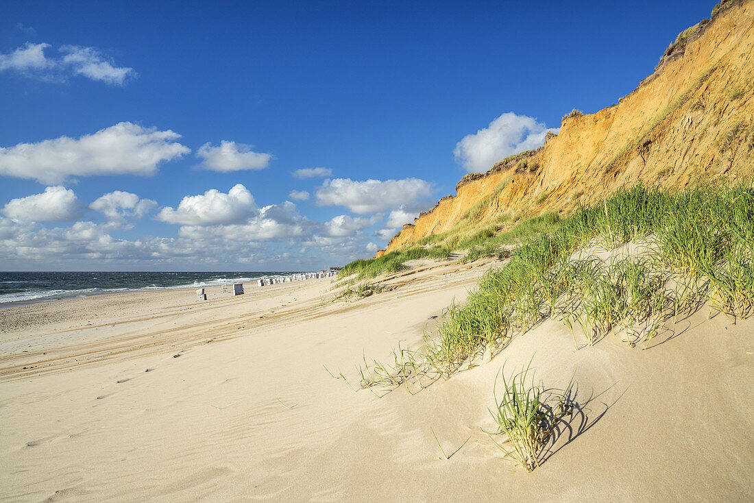 Beach Rotes Kliff in Kampen, North Frisian Island Sylt, North Sea coast, Schleswig-Holstein, Northern Germany, Germany, Europe