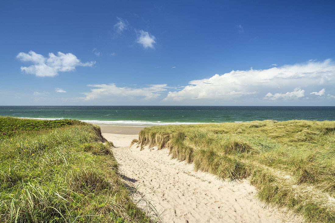 Way across the dunes to the beach in Rantum, North Frisian Island Sylt, North Sea coast, Schleswig-Holstein, Northern Germany, Germany, Europe