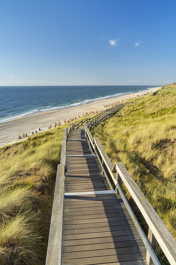 Way through the dunes to the beach in Wenningstedt, North Frisian Island Sylt, North Sea coast, Schleswig-Holstein, Northern Germany, Germany, Europe