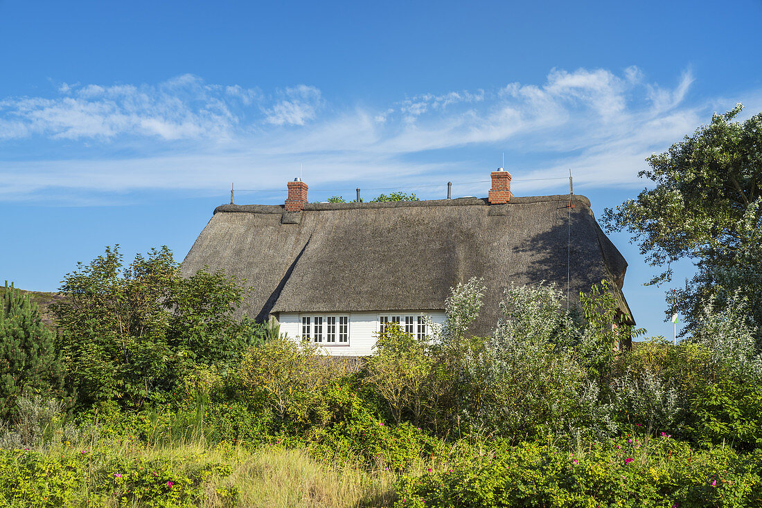 Thatched house in List, North Frisian Island Sylt, North Sea coast, Schleswig-Holstein, Northern Germany, Germany, Europe