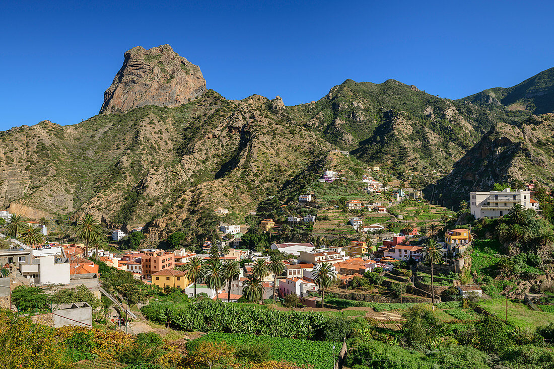 Houses and palm gardens of Vallehermoso with Roque Cano, La Gomera, Canary Islands, Canaries, Spain