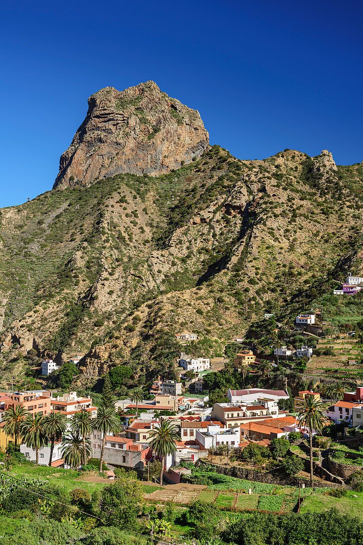 Houses and palm gardens of Vallehermoso with Roque Cano, La Gomera, Canary Islands, Canaries, Spain