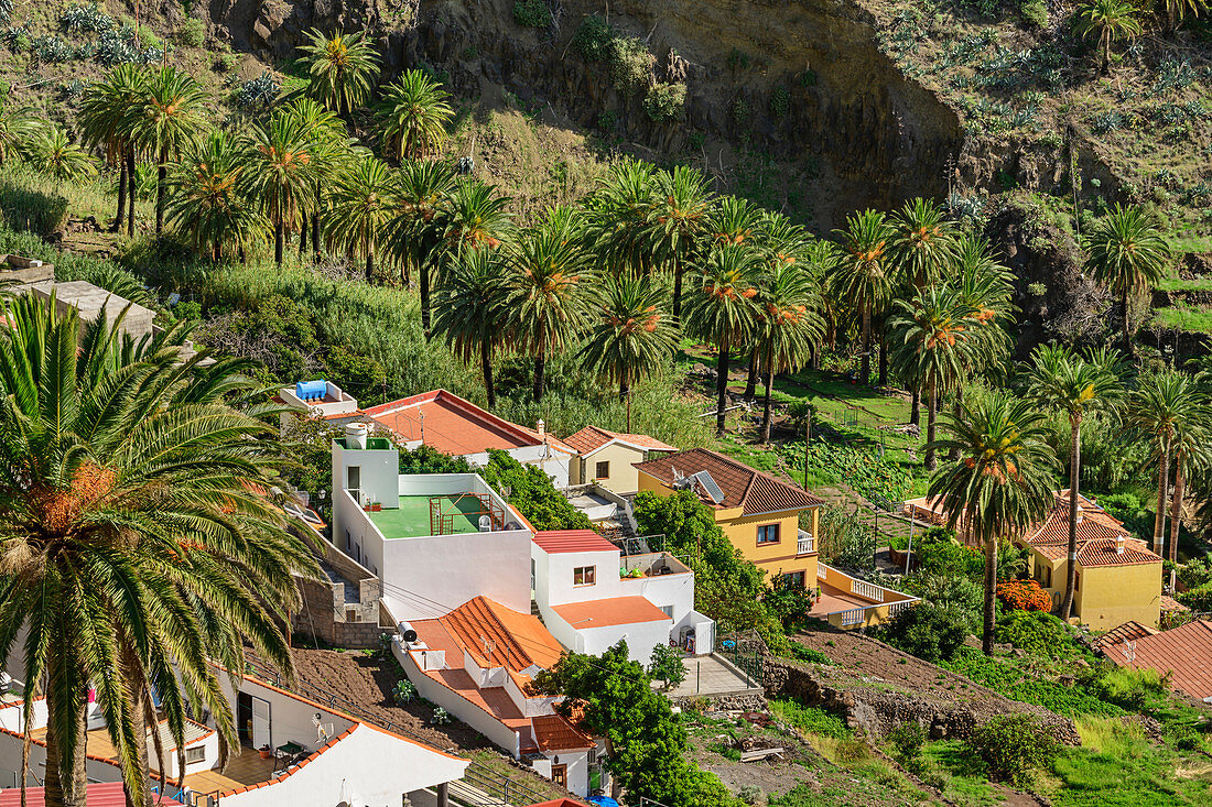 Houses and palm gardens in Valle Gran Rey, La Gomera, Canary Islands, Canaries, Spain