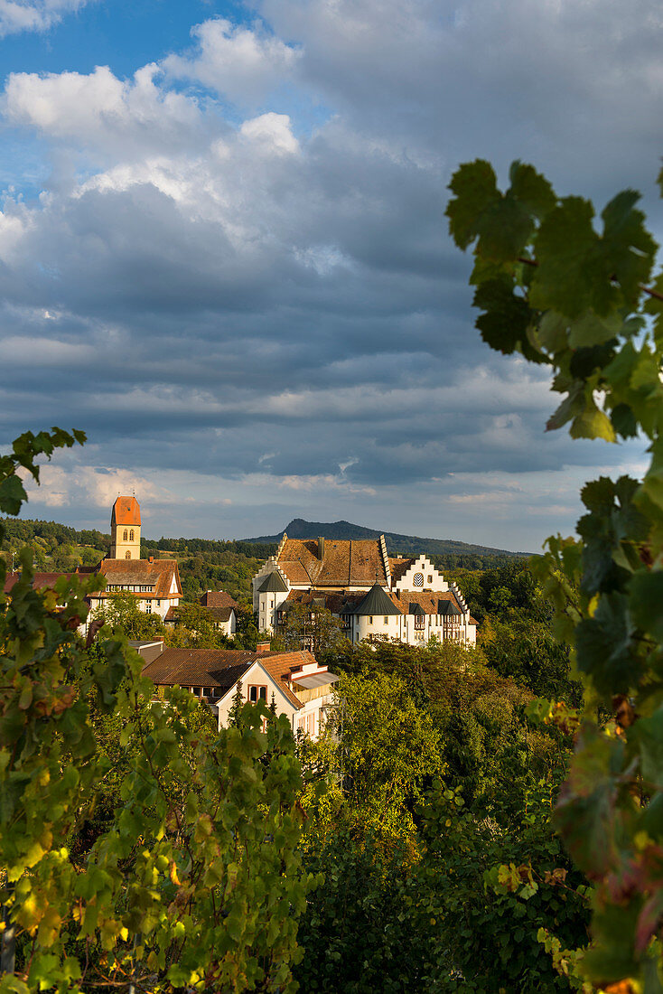 Blumenfeld Castle, Tengen, Constance County, Hegau, Baden-Württemberg, Germany