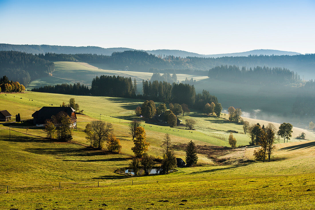 Morning fog in autumn, Jostal, near Neustadt, Black Forest, Baden-Württemberg, Germany