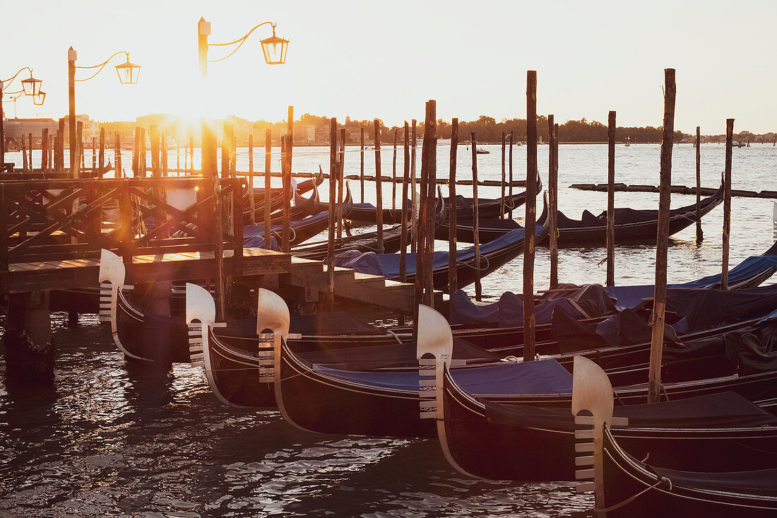 Gondolas moored in the Canale Grande in Venice, Veneto, Italy at sunrise.